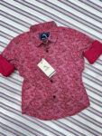 Scarlet Red Blooming Flower Print