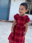 Dark Red  Peter Pan Collar Frock